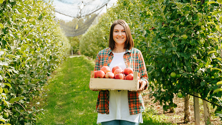 девушка и ящик с яблоками фото