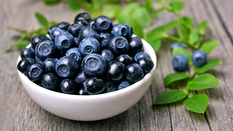 спелая голубика фото