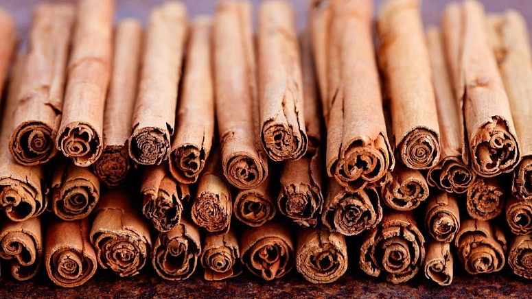 палочки корицы фото