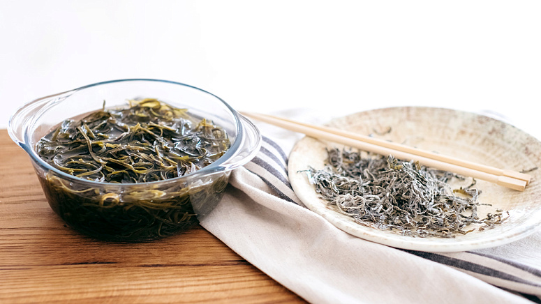 морские водоросли фото