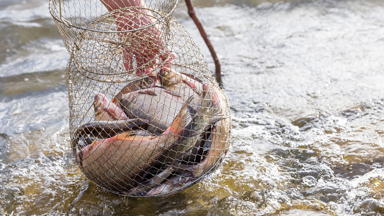 ловля рыбы фото