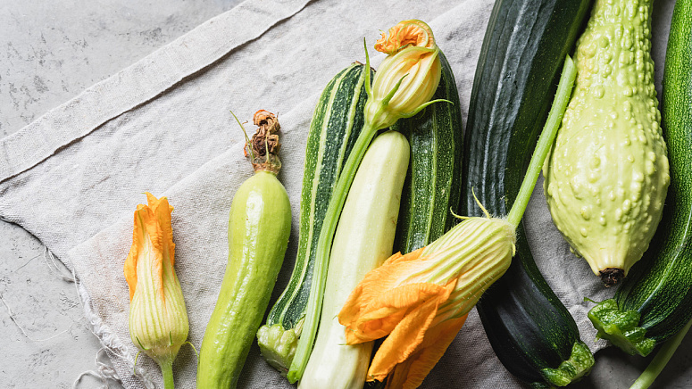 свежий кабачок фото