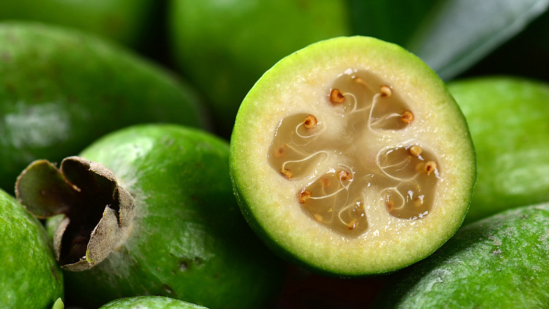 Фейхоа фото