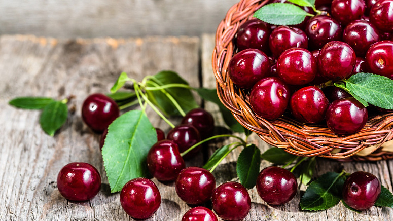 Спелая черешня фото