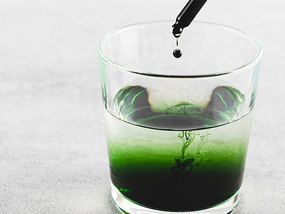 Хлорофилл: зелёное сердце растений и его уникальные свойства