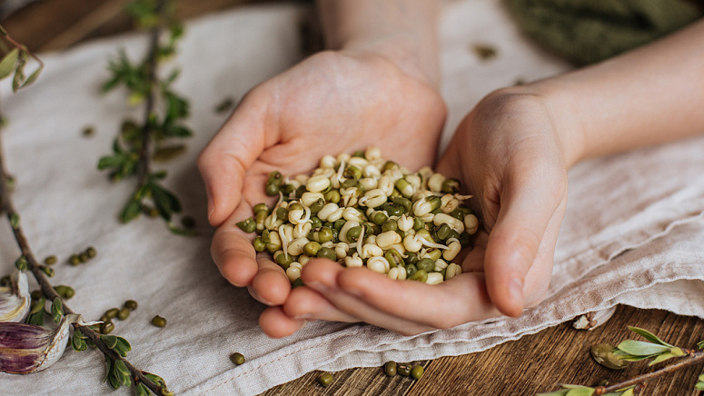 маш в ладонях