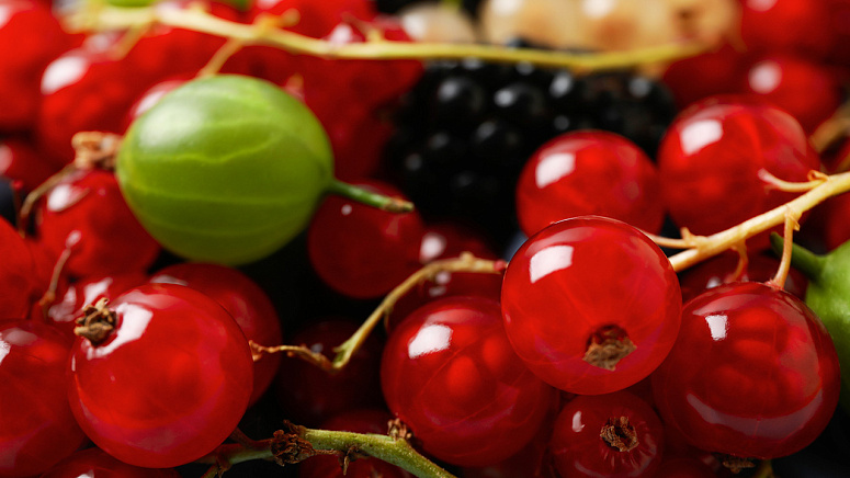 ягоды спелые фото