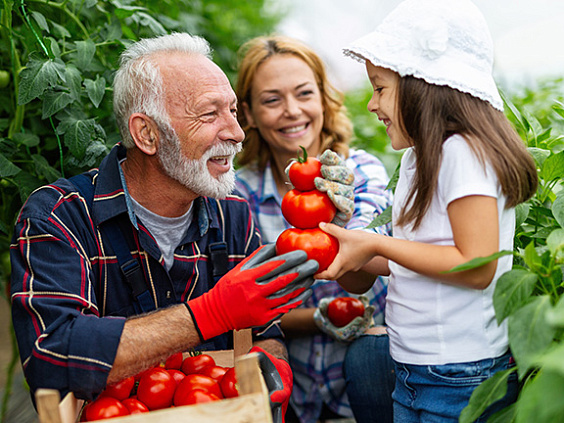 Как меняется жизнь с переходом на растительное питание